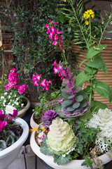 Potted plants   on  the  street  of Tokyo