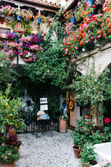 Fototapeta na wymiar Typical courtyard or patio of Cordoba decorated with flower pot