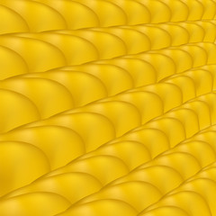 Yellow Ripe Corn Pattern