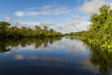 Fototapeta na wymiar pantanal, brazil
