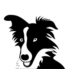 Silhouette of funny playful little puppy. border collie