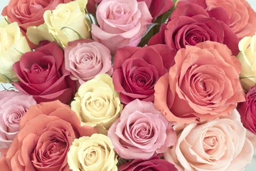 Poster de jardin Roses Bouquet de roses