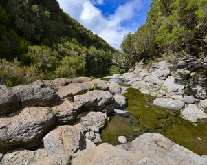 Quelle Levada Madeira II