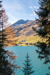 Autumn at the Davos Lake, Grisons, Swiss