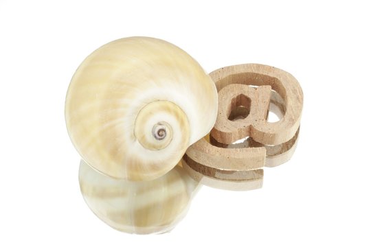 Symbolic representation of a slow internet with snail and sign