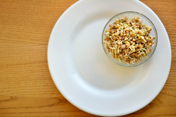 Fresh buckwheat sprouts for healthy eating