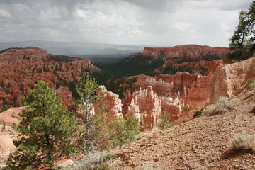 View of Bryce Canyon