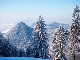 Fototapety  Zimowy krajobraz polskich gór Pienin