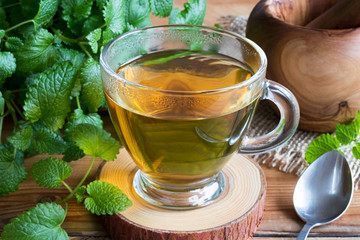 A cup of melissa tea with fresh melissa leaves
