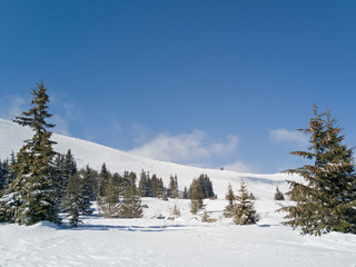 Obraz na płótnie Canvas Winter mountain, Bulgaria