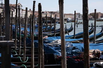 View of Venice life
