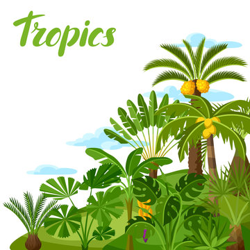Background with tropical palm trees. Exotic tropical plants Illustration of jungle nature