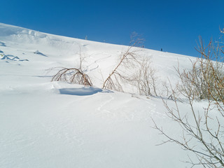 Vitosha mountain, Bulgaria