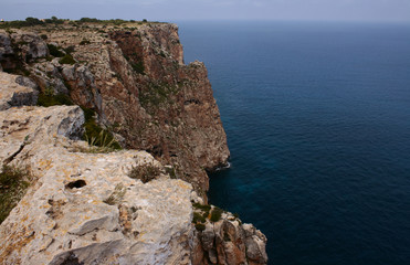 Nature in Formentera island