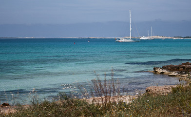 Fototapeta na wymiar Nature in Formentera island