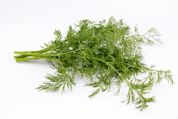 Green fresh organic dill on white background