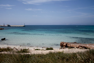 Nature in Formentera island