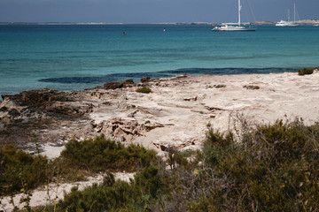 Nature in Formentera