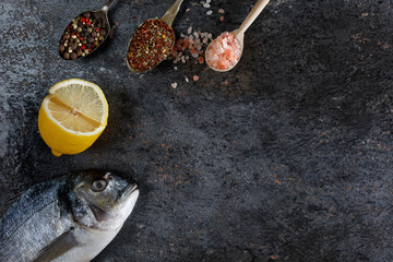 Top view of fresh fish dorado on grunge textured background. Copyspace.