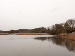 bleak cold white sky winter lake serene country landscape depressing