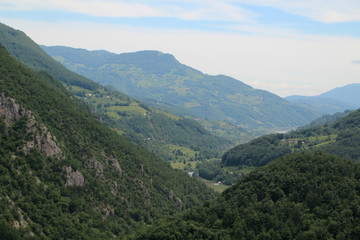 Fototapeta na wymiar Biogradska gora, National Park, Montenegro