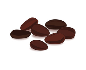 Cocoa beans Isolated on white background.