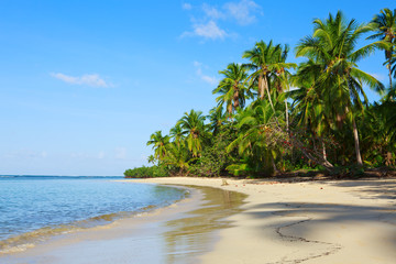 Palm trees on white tropical beach.