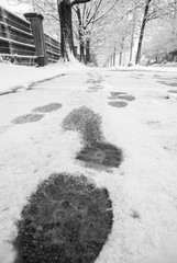 show footprints in snow on sidewalk along the park