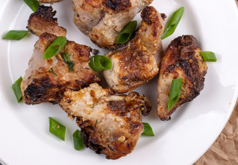 Shish kebab with onions on a plate
