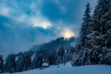 Fototapeta na wymiar Winterlandschaft mit Sonne