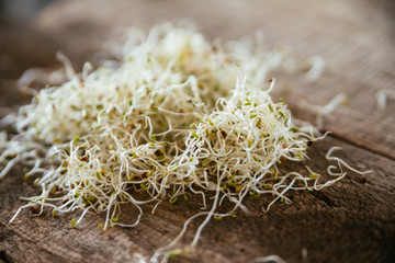 Fresh Alfalfa Sprouts