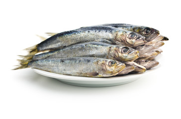 Raw sardines fish.