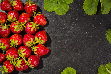 strawberries on stone background, delicious first class organic fruit as a concept of summer vitamins