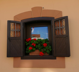 Open window with summer red flower