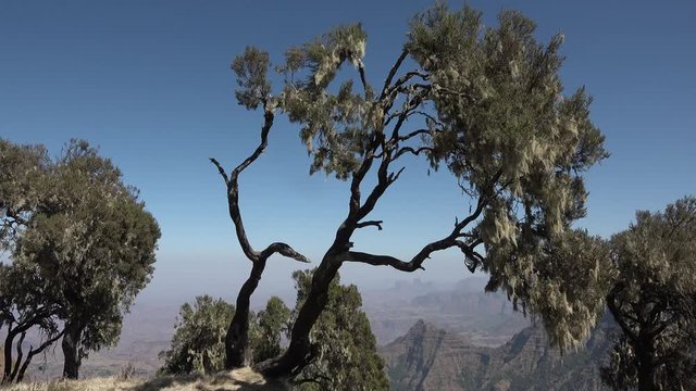 Ethiopian National Park Simien