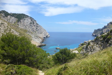 Fototapeta na wymiar Beach in Mallorca. Formentor cala. Balearic Islands. Spain