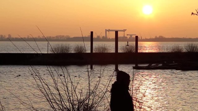 Spaziergänger am Sonntagnachmittag an der Elbe in Hamburg, Deutschland während des Sonnenuntergangs, full HD Video
