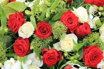 Big red and white roses