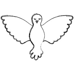 pigeon peace front view on blurred silhouette vector illustration