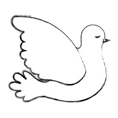 pigeon peace side view on blurred silhouette vector illustration