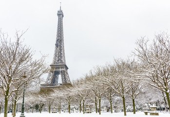 Winter in Paris in the snow. The Eiffel tower seen from the Champ de Mars with a snow covered tree lined alley in the foreground.