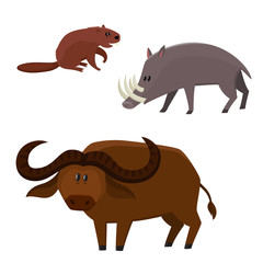 Vector cute beaver, buffalo bull, babirusa in cartoon style isolated on white background.