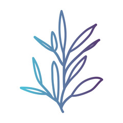 ramification with leaves on gradient color silhouette from blue to purple vector illustration