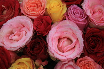 Mixed wedding roses
