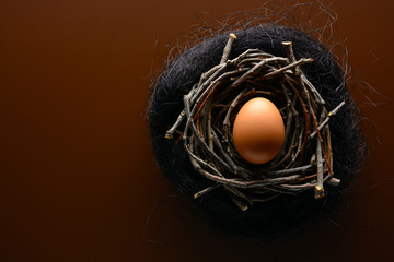 Easter background. Brown chicken egg in the nest of twigs