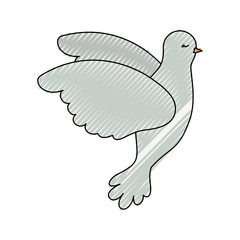pigeon peace flying in side view on color crayon silhouette vector illustration