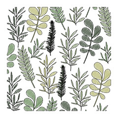 pattern leaves of plants on color crayon silhouette vector illustration