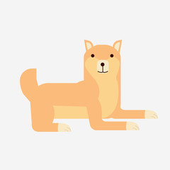 Cute cartoon japanese Shiba Inu dog vector.Flat Shiba Inu dog portrait with isolated background