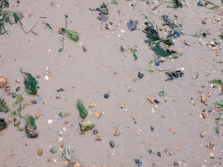 seaside beach surface texture wet water sand lichen rocks stones