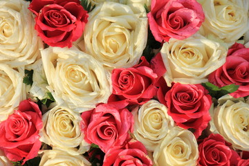 Pink and white wedding roses